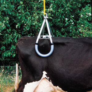 Lève-vache