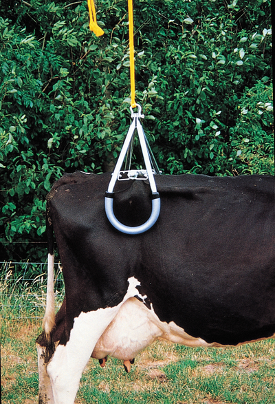 Lève-vache