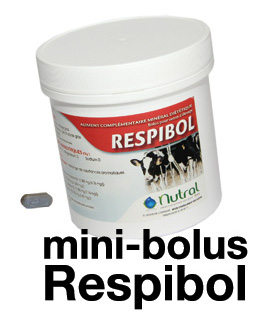 Respibol
