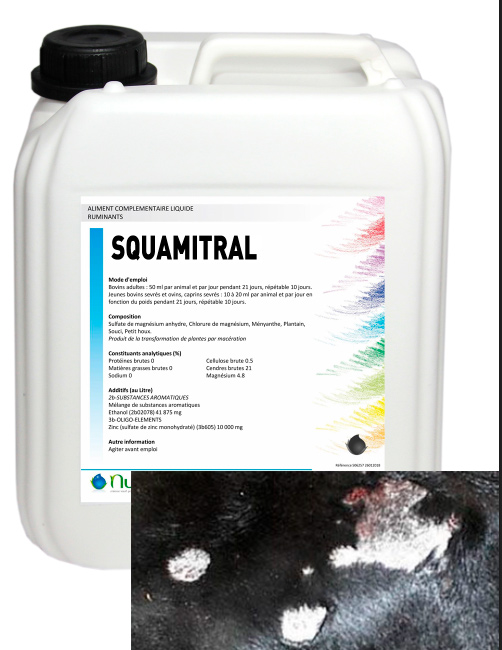 Squamitral