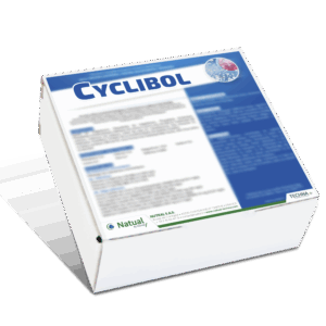 Cyclibol