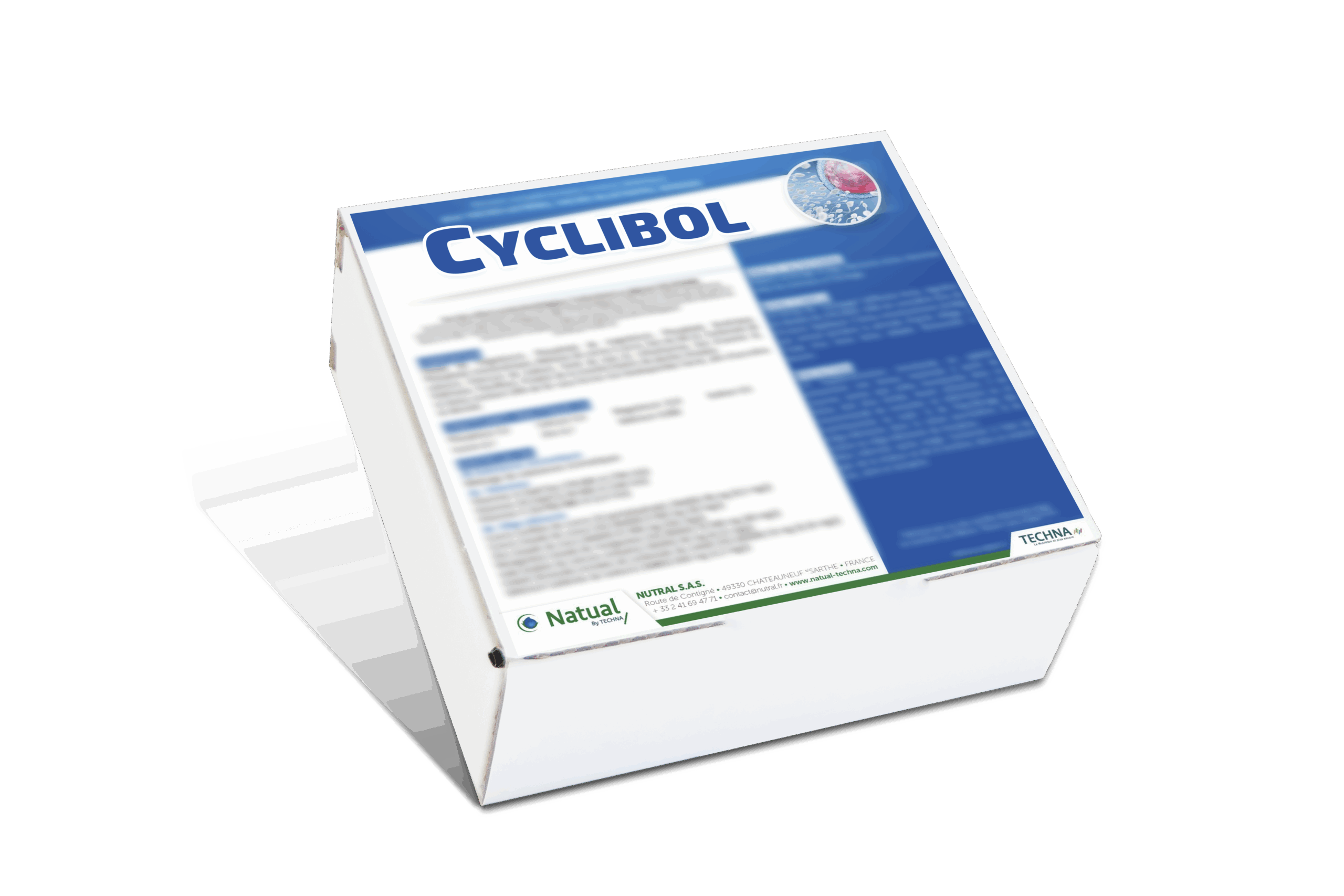 Cyclibol