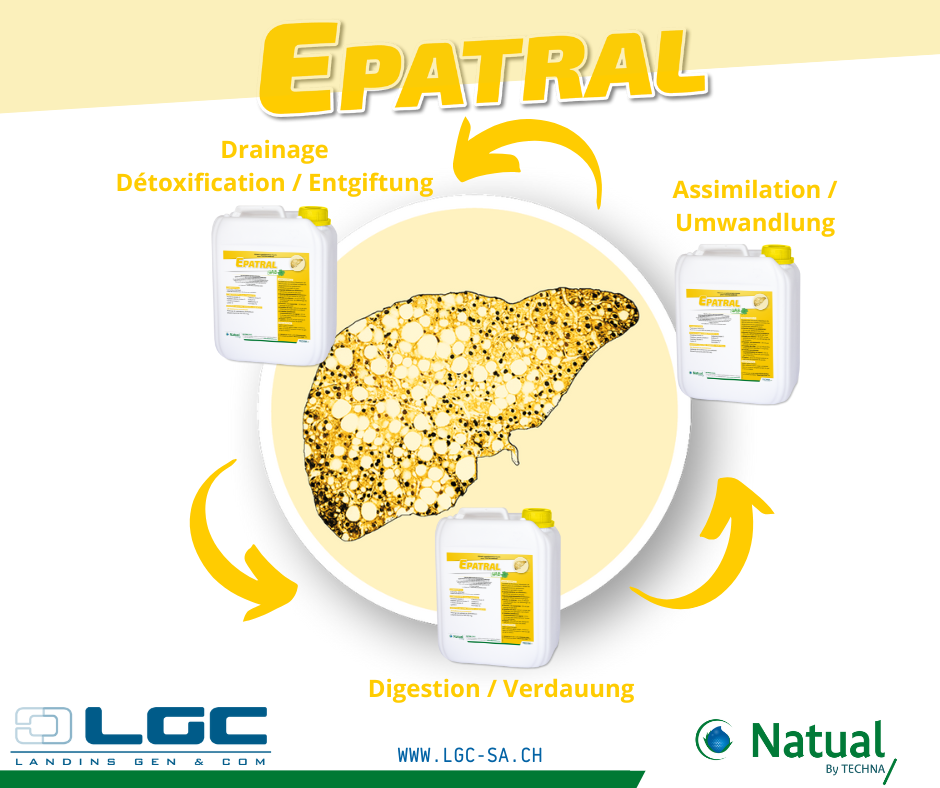 Epatral CHB – Image 2