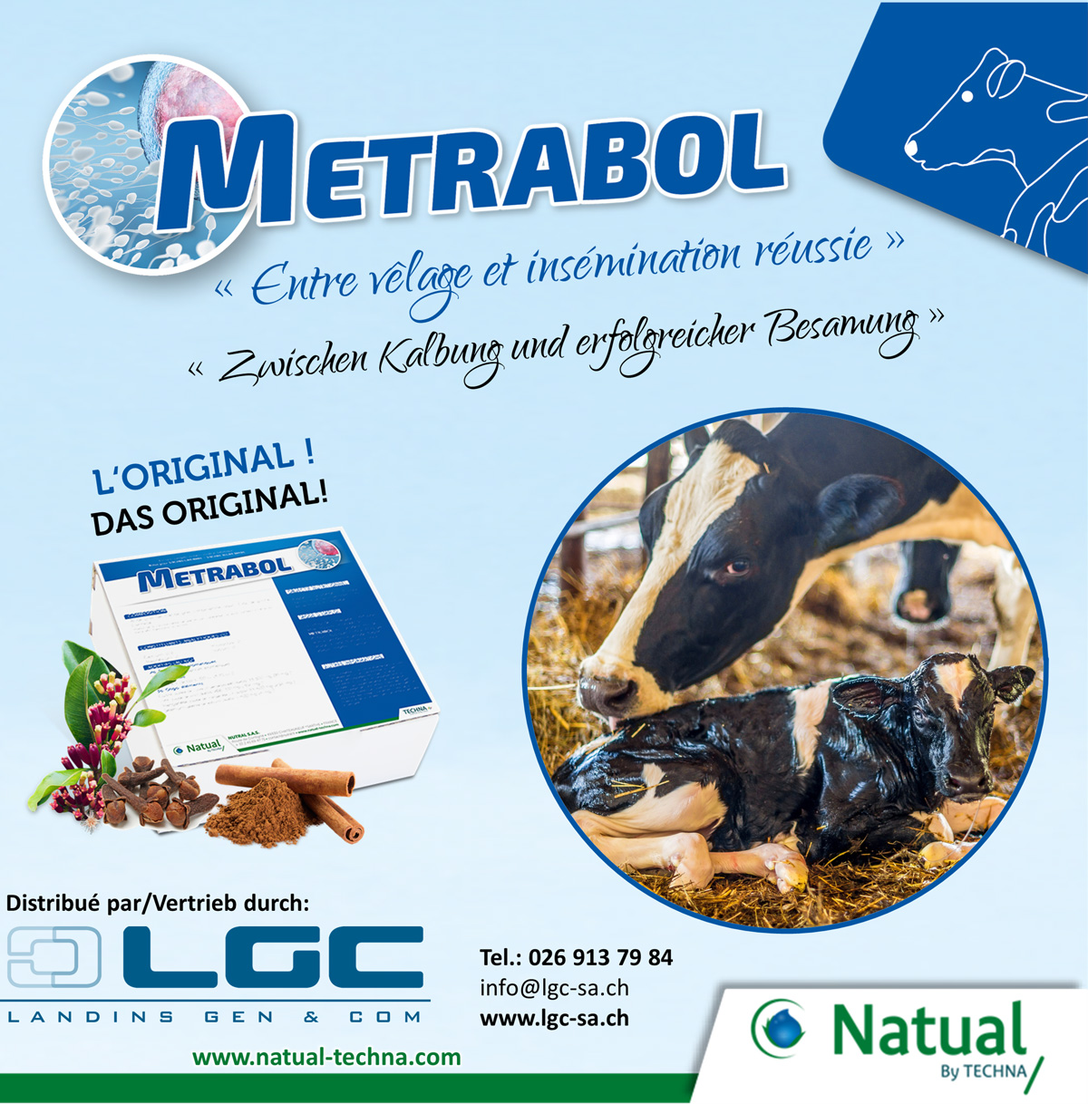 Metrabol – Image 4