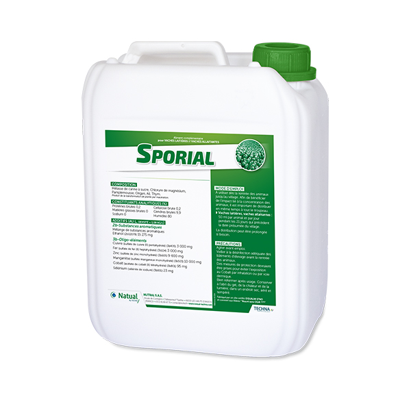 Sporial