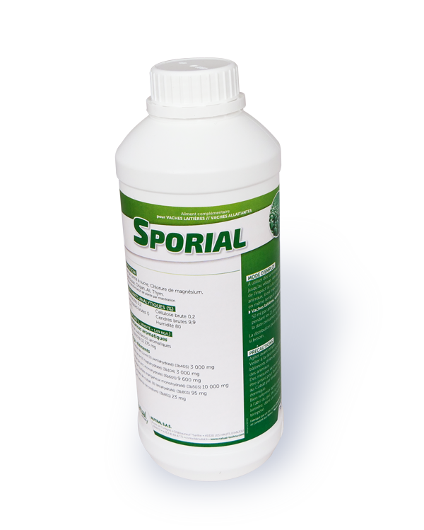 Sporial – Image 2