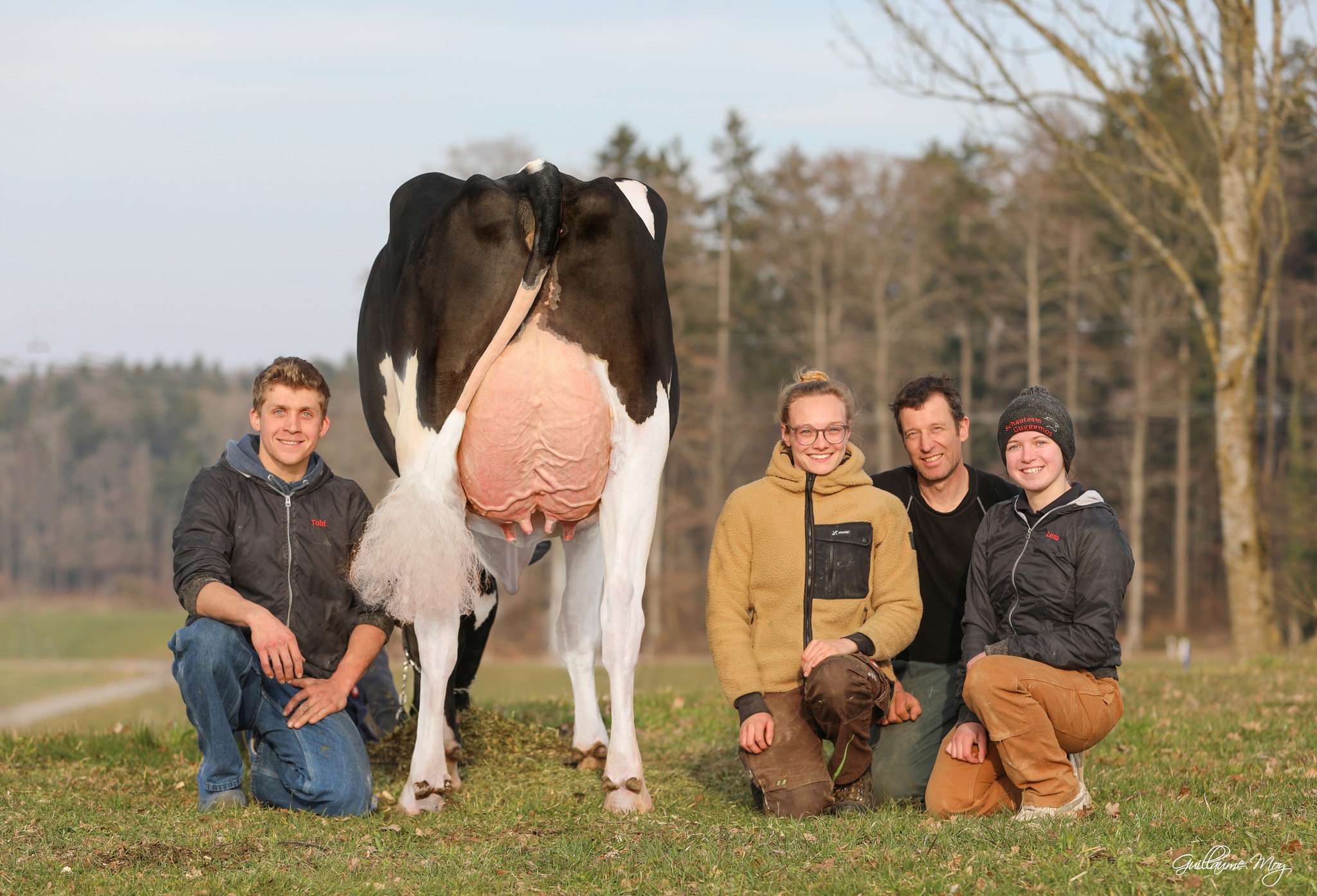 Gplus Meier's GP-MYSTERY-ET – Image 9