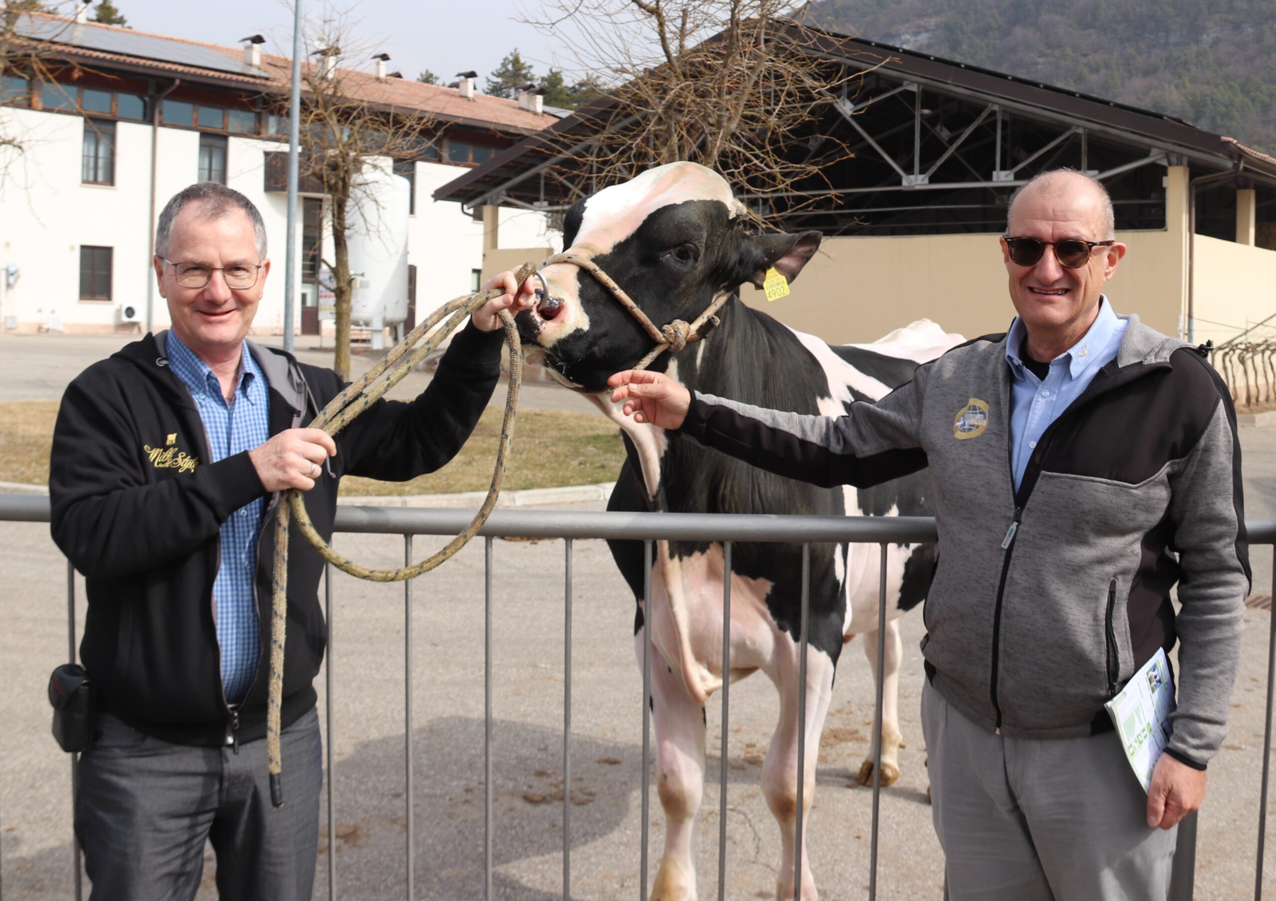 Gplus Meier's GP-MYSTERY-ET – Image 14