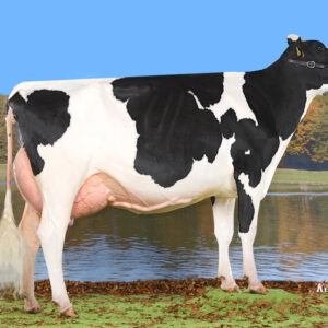 Regancrest AltaIOTA-ET