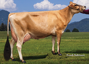 Legendairy Steve Remington