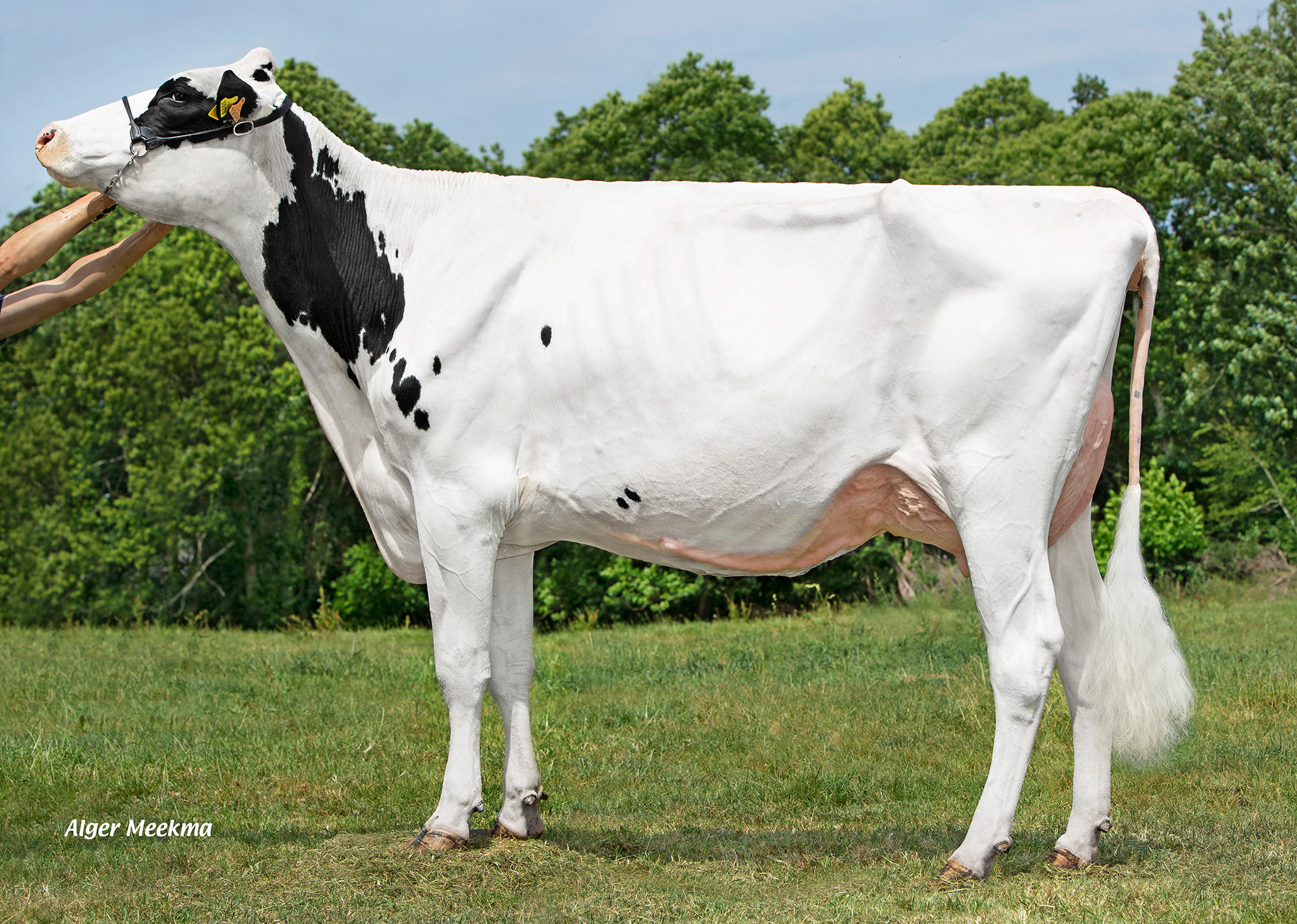 M: EBA Playa VG 85